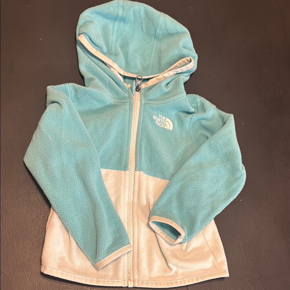 The North Face Toddler Blue Fleece Hoodie